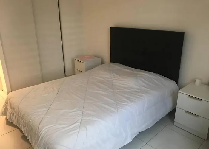 Logement A Tassin Avec Piscine Et Garage