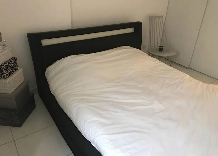 Logement A Tassin Avec Piscine Et Garage